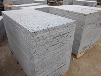 Basalt vesicular