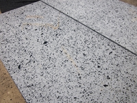 Basalt vesicular